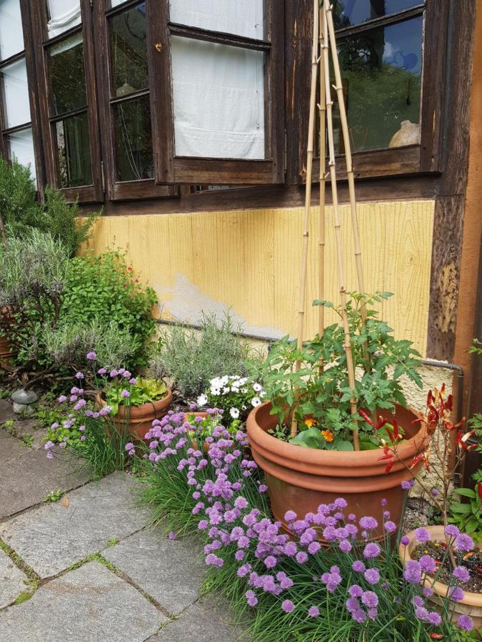 Ca Balossa, Tremezzina Lago Di Como Davanti A Bellagio E Villa Balbianello Mezzegra Εξωτερικό φωτογραφία