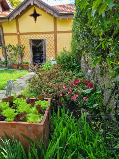 Ca Balossa, Tremezzina Lago Di Como Davanti A Bellagio E Villa Balbianello Mezzegra Εξωτερικό φωτογραφία
